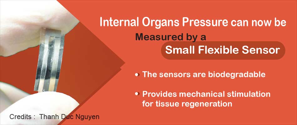 New Biodegradable Sensor Can Help Measure Internal Organs Pressure