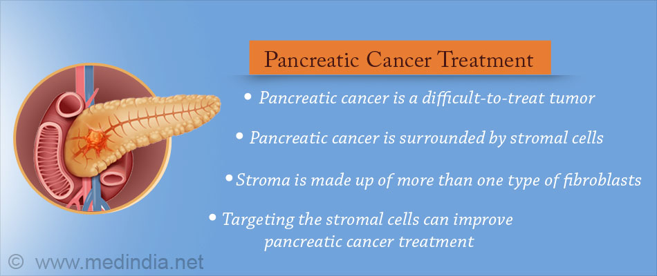 Possible New Avenues in Pancreatic Cancer Treatment