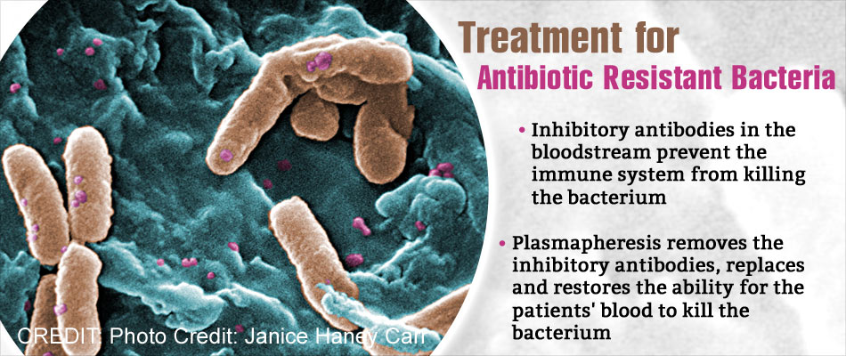 New Treatment for Antibiotic Resistant Bacteria