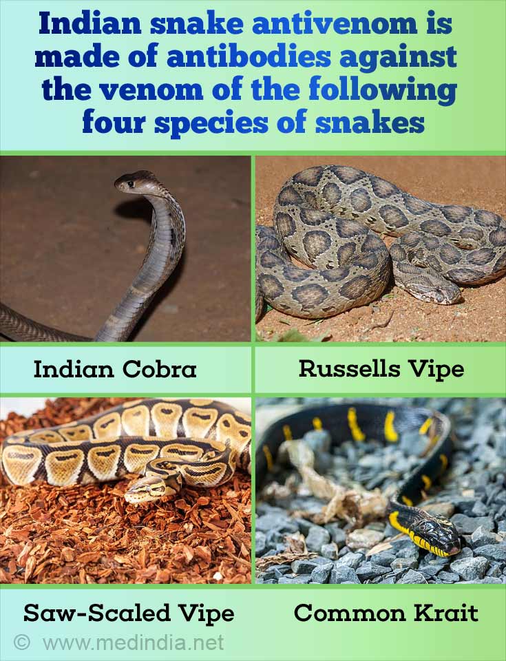 What Are The 3 Types Of Snake Venom