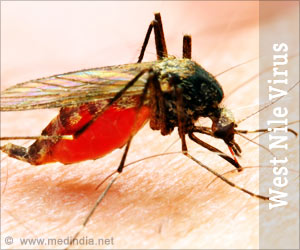 West Nile Virus Symptoms Diagnosis Treatment Prevention