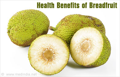 breadfruit benefits health fruit