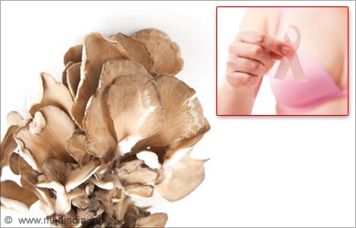 Types of Mushrooms: Maitake Mushroom