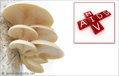 Types of Mushrooms: Oyster Mushroom