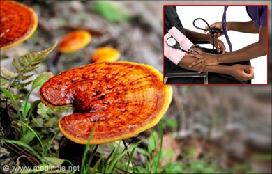 Types of Mushrooms: Reishi Mushroom