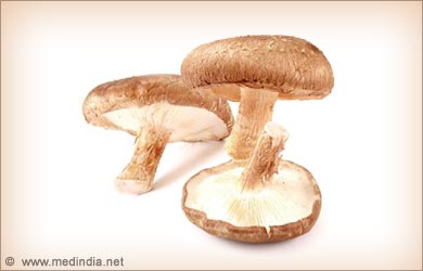 Types of Mushrooms: Shiitake Mushroom