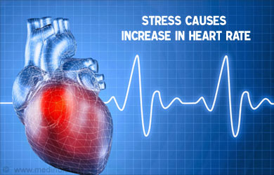Stress Causes Increase in Heart Rate
