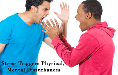 Stress Triggers Physical and Mental Disturbances