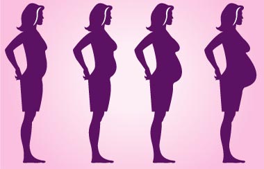 pregnant women stages