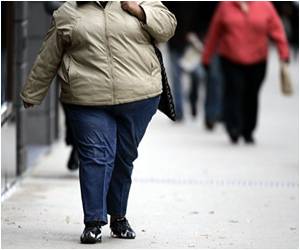 Bacteria Linked To Obesity Illnesses Research