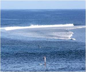 Family of Sydney man killed in New Caledonia shark attack remember