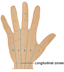 Reflexology - Dr. William Fitzgerald