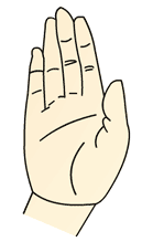 hand