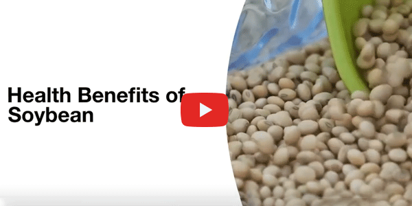 Health Benefits Of Soy Beans