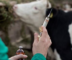 Vaccination of Cattle Improves The Standard of Living