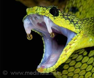 New, Safer Antiplatelet Drug from Snake Venom