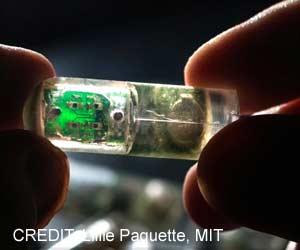 Bacteria-on-a-chip can Detect Gastrointestinal Diseases