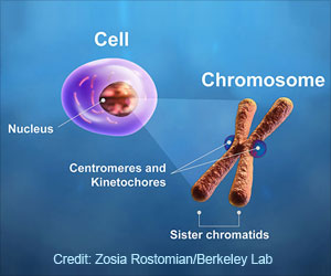 Higher Score of Markers Spell Poor Prognosis of Cancer