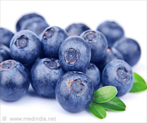 Blueberry-Enriched Diet Can Improve Renal Function