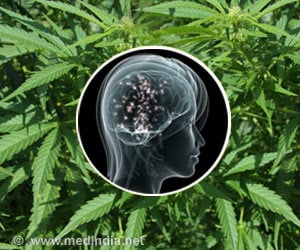 Brain Imaging Shows How Cannabis Controls Pain