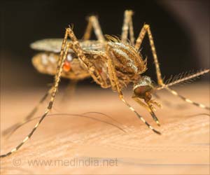Breath-based Diagnostic Test to Determine Malarial Infection