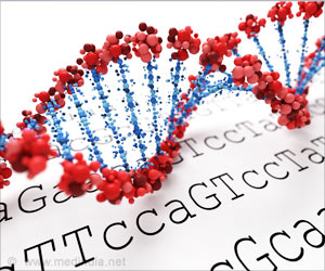 Caste System and Genes in India