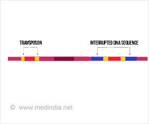 Watch What You Eat - Calorie Control Could Increase Lifespan by Restricting Rogue Transposons