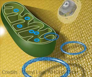 Mitochondrial Genetic Patterns Associated With Autism