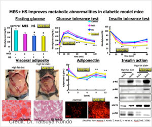 Belt-Type Medical Device For Treating Diabetes