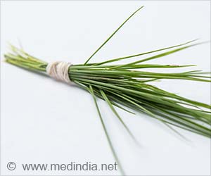 Arugampul (Bermuda Grass): A Non-Hormonal Approach to Menopause