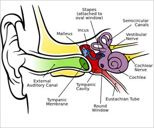 Hearing Have Evolved Over 300 Million Years Ago: Study