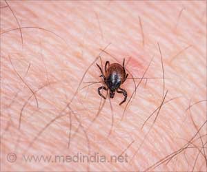 Next-generation Serodiagnostic Testing Allows Earlier And Accurate Detection Of Lyme Disease