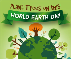 Earth Day 2016: Trees for the Earth!