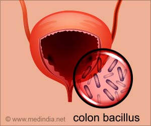 Unraveling the Link Between E. Coli in Meat and Urinary Tract Infections