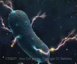 Electricity-generating Gut Bacteria Identified