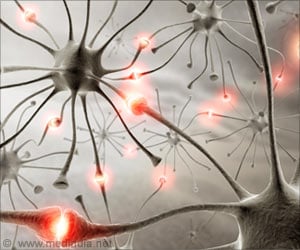 New Hybrid Neuro Chip Helps To Record Brain Cell Activity With Higher Resolution