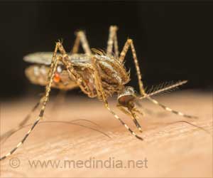 Human Tetravalent DNA Vaccines Against Dengue Soon to be a Reality