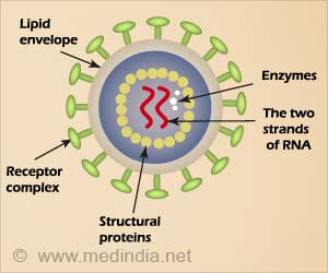 Novel Drug That Prevents HIV From Developing Into Infectious Particle Discovered