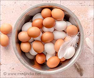 Include Eggs in Your Diet to Lower the Risk of Heart Disease