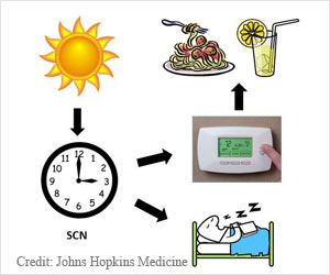 Fighting Jet Lag by Deeper Understanding of Sleep Cycle