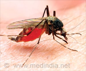 Nanosized Silver Particles With Chitin Help Reduce Malaria Vector