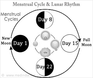 Lunar Cycle - an overview