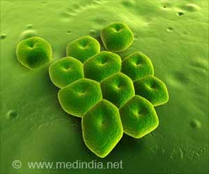 Multidrug Resistant Bacterias Latest Mechanism To Block Colistin Revealed