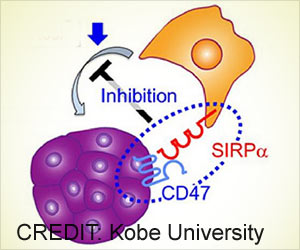 New Treatment for Cancer Lies in Activating Key Immune Cells