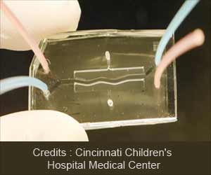 Human Pancreas-on-a-Chip: A Novel Innovation for Studying Diseases