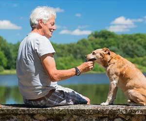 Pets can Save Older People from Attempting Suicide