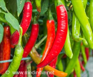 Do Chili Peppers Increase Obesity Risk?