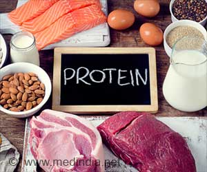  How Protein-Rich Diets Shape Your Gut Microbiome
