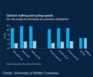 Optimal Walking And Cycling Speeds Identified To Minimize Effects Of Air Pollution