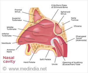 Vomeronasal Organ in Humans: A 300-Year Mystery